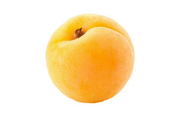 Aprikosen Frucht