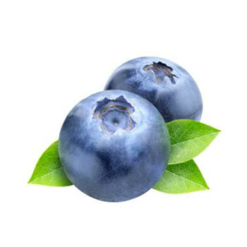 Blaubeere Frucht